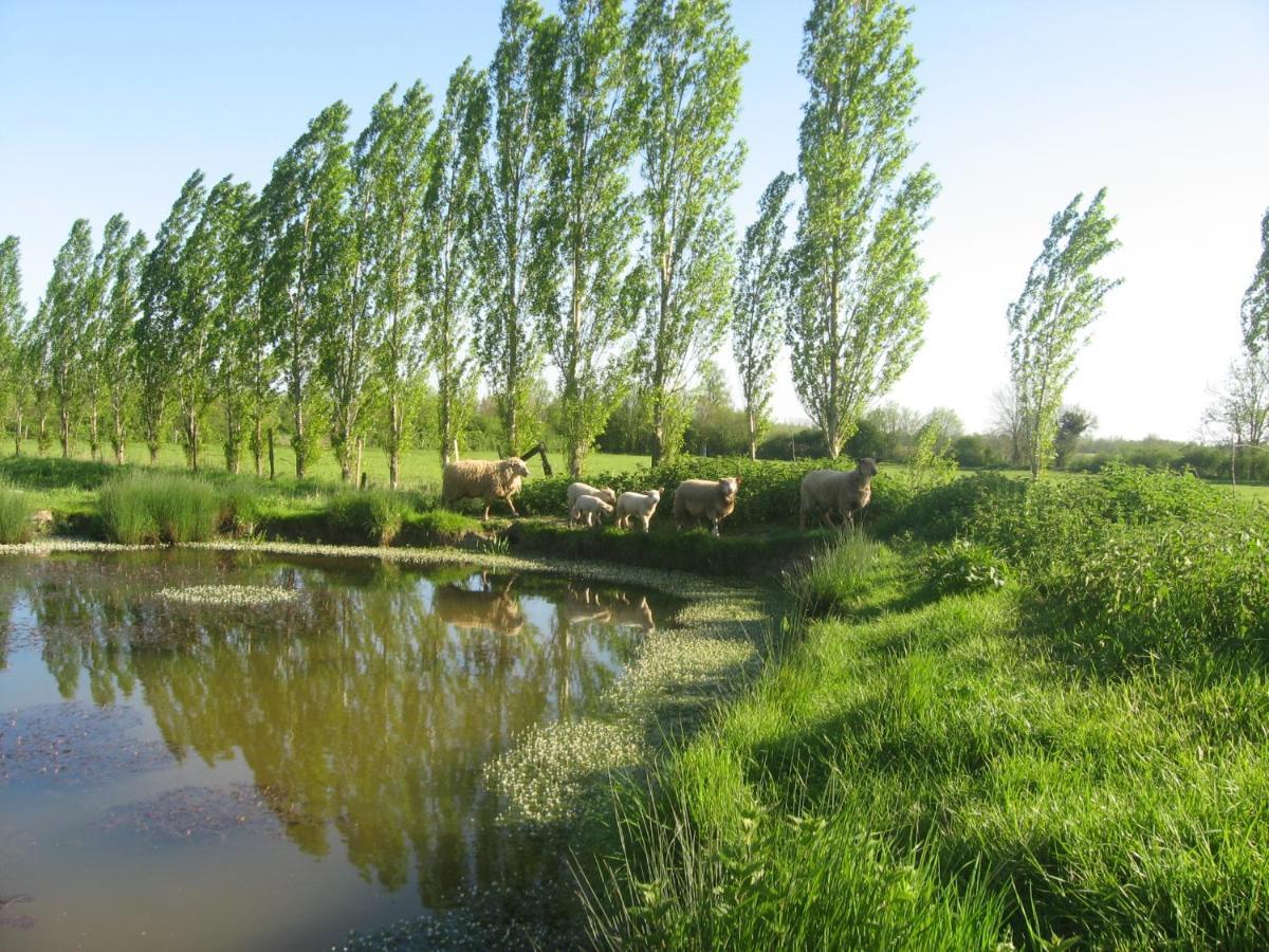 Perigne La Ferme De Magnantru B&B 외부 사진